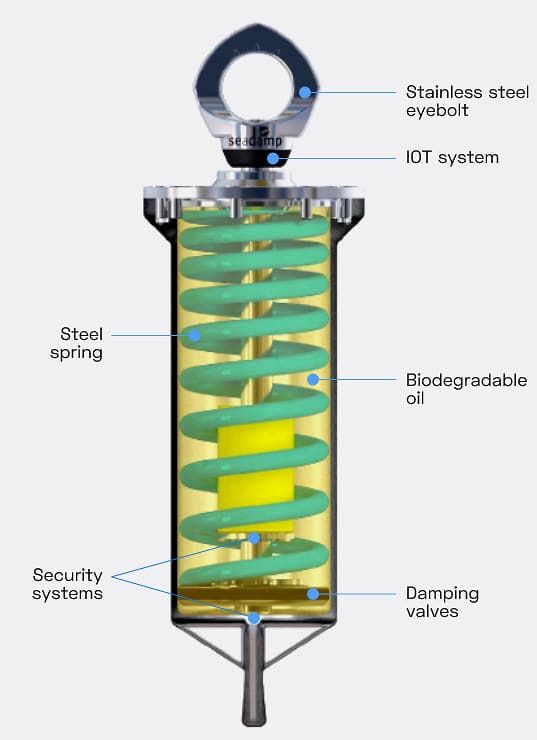 molla-eng-1